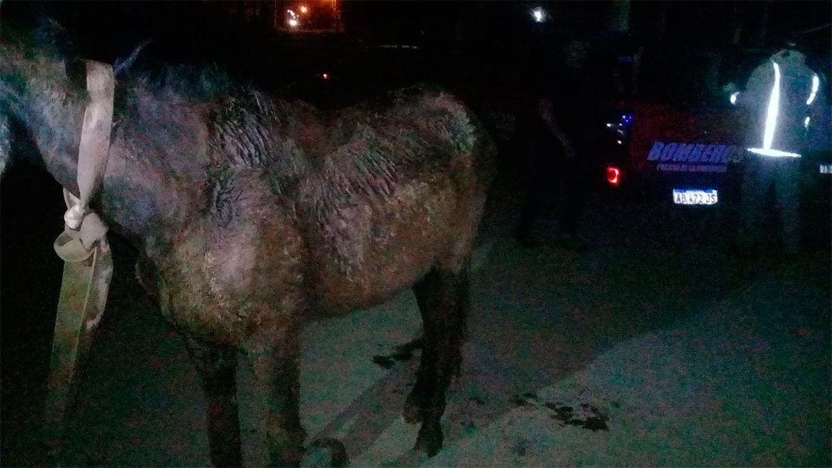 Un Policía Le Salvó La Vida A Un Niño Que Se Atragantó Con Comida ...