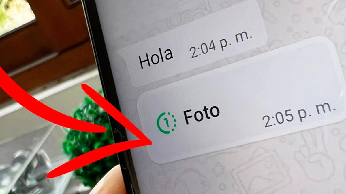 ¿cómo Guardar Fotos Y Videos Que Se Pueden Ver Una Sola Vez En Whatsapp Diario Panoramaemk 7044