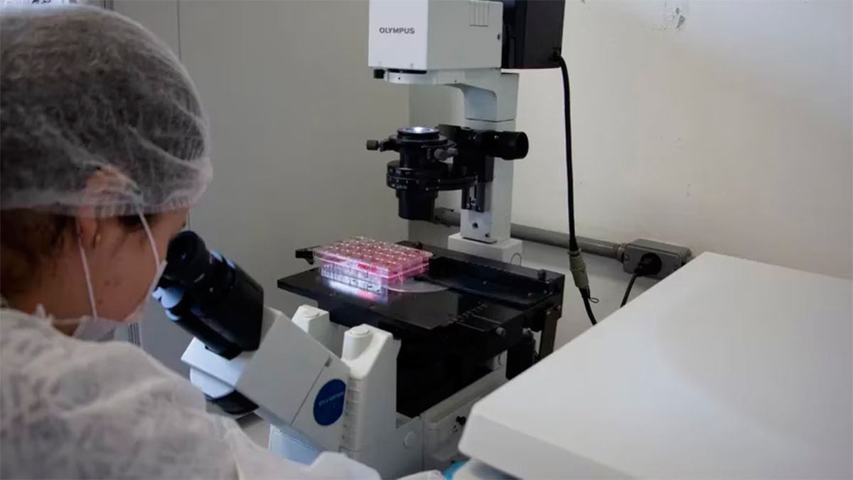 El equipo del Laboratorio de Virología Aplicada de la Universidad Federal de Santa Catarina está analizando unas 150 muestras ambientales y de pacientes. 