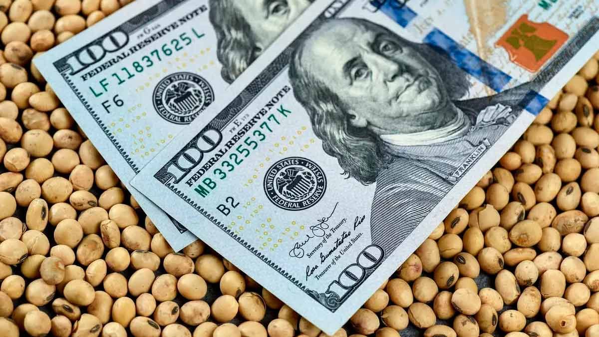 Comienza El Dólar Agro La Apuesta Oficial Del Gobierno Para Reforzar Las Reservas Del Banco 8624