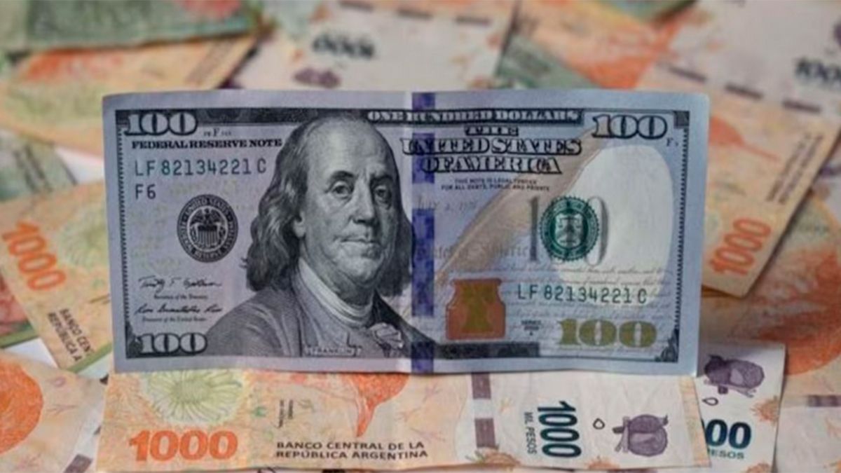 El Dólar Blue Alcanzó Un Récord Histórico Y Llegó A Los 600 A Cuatro Días De Las Paso Diario 7927