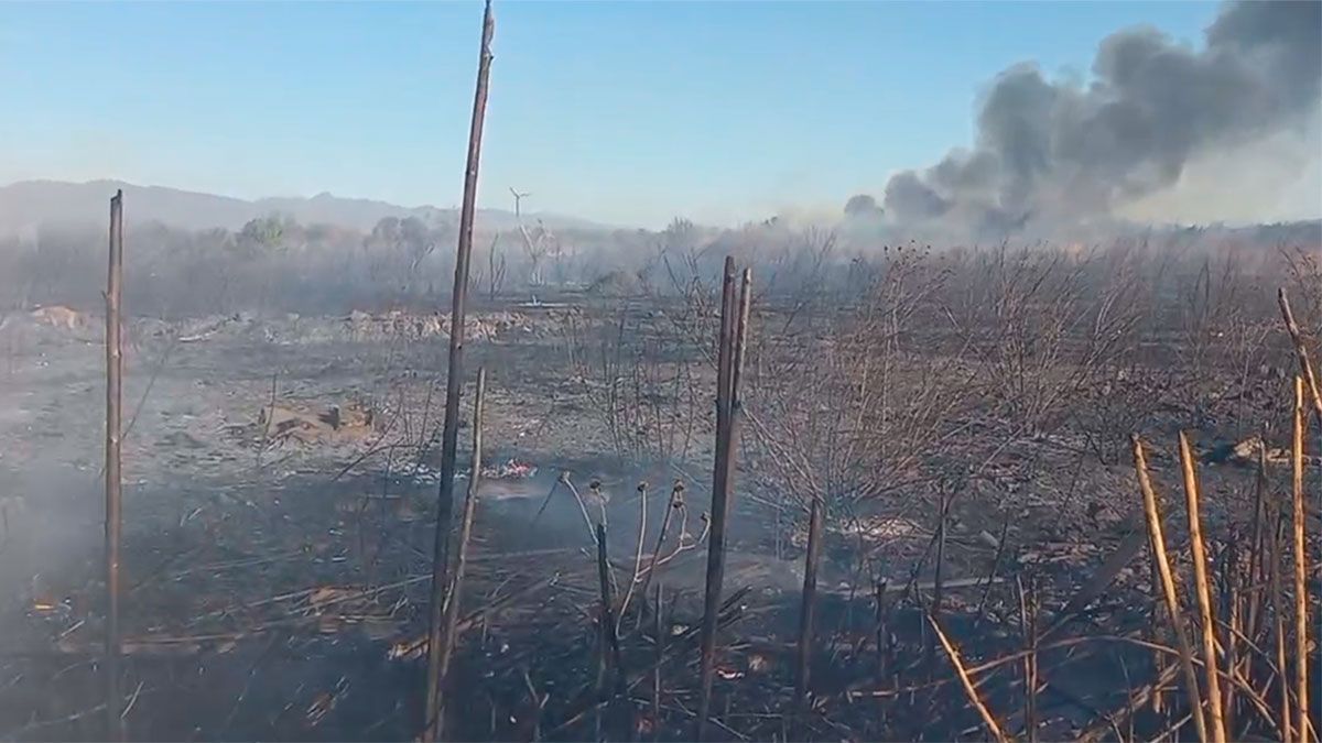 Feroz Incendio En Salta Cinco Hectáreas Se Prendieron Fuego Diario Panorama 7706