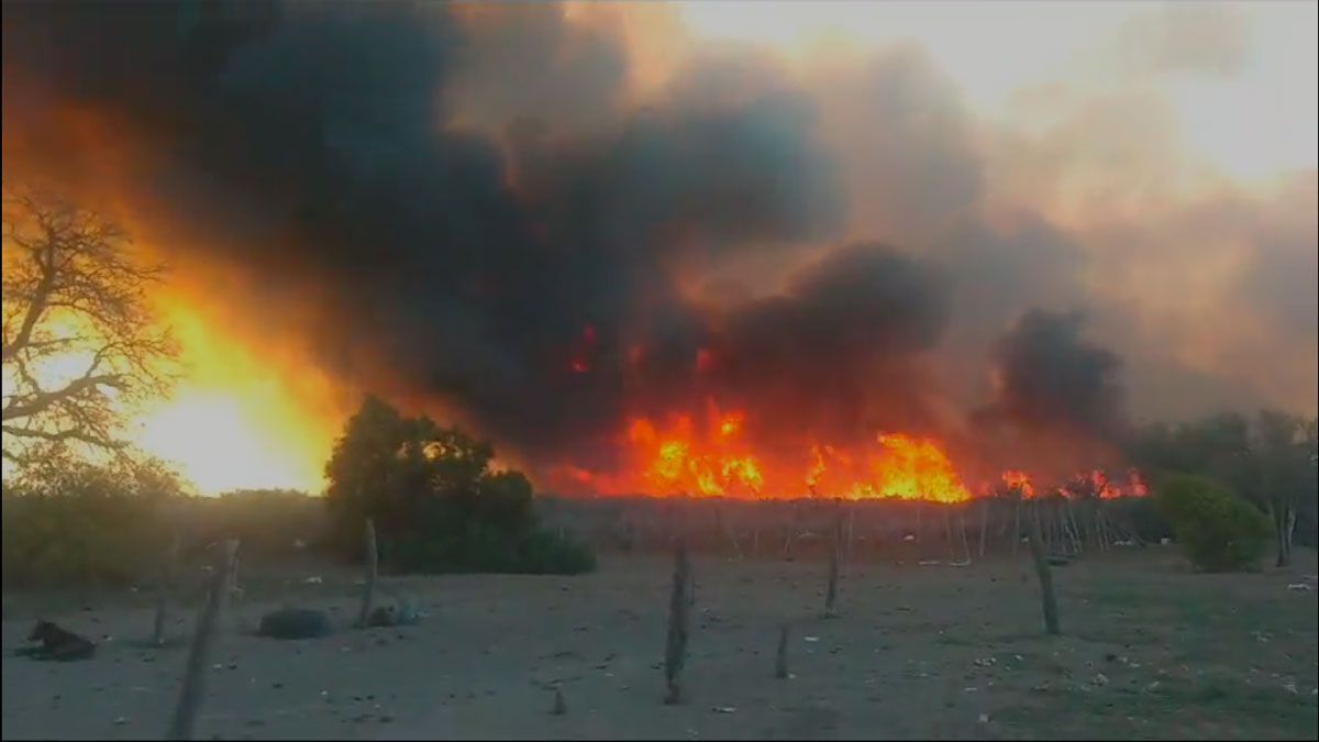 Video Voraz Incendio Forestal Puso En Peligro A Varias Viviendas Rurales Cerca De Real Sayana