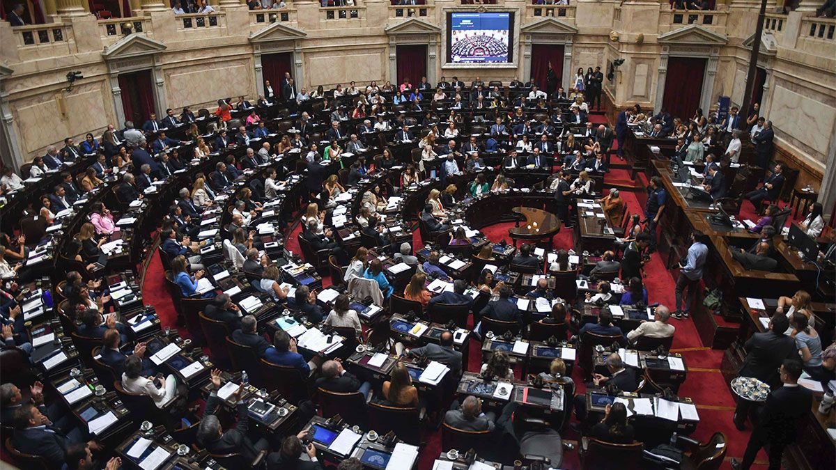 Ley ómnibus Diputados Pasó A Un Nuevo Cuarto Intermedio En Una Jornada Marcada Por Disturbios 3282