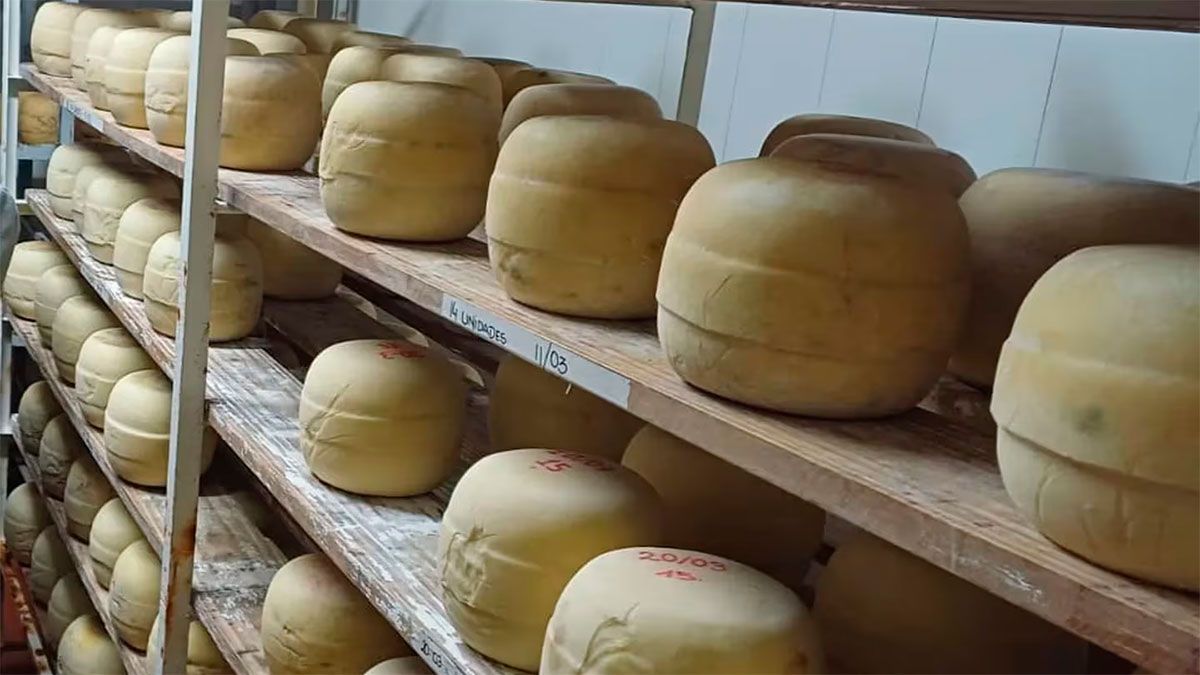 Tambo y producción de quesos 