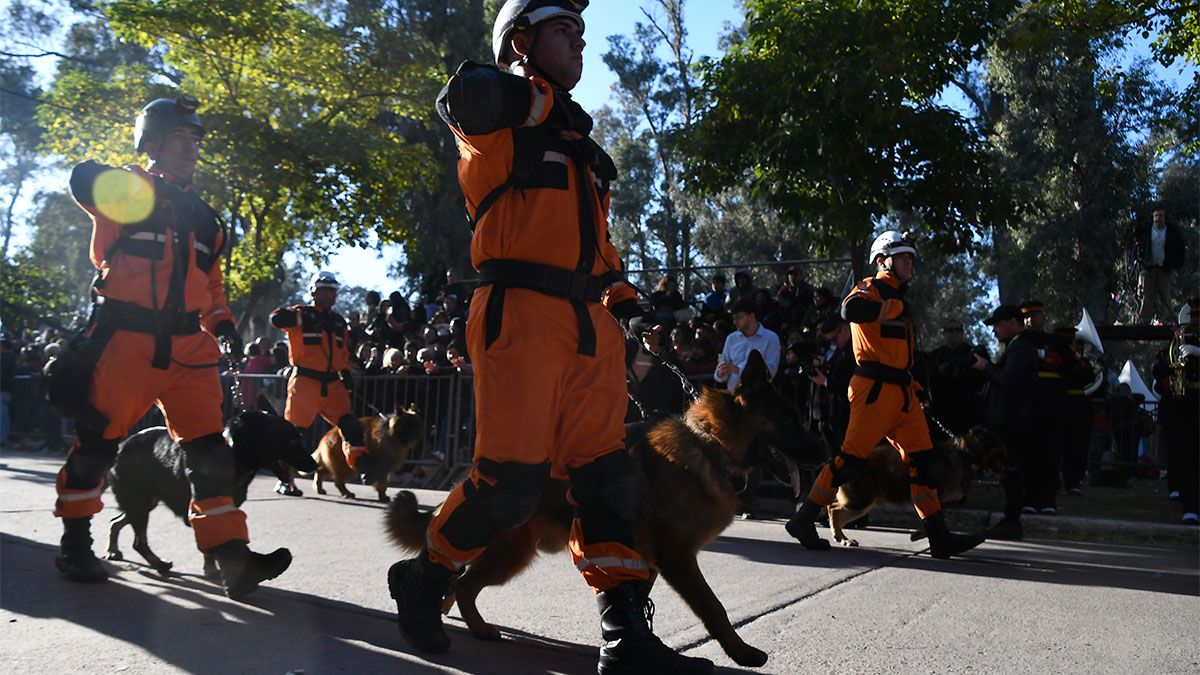 desfile civico militar 