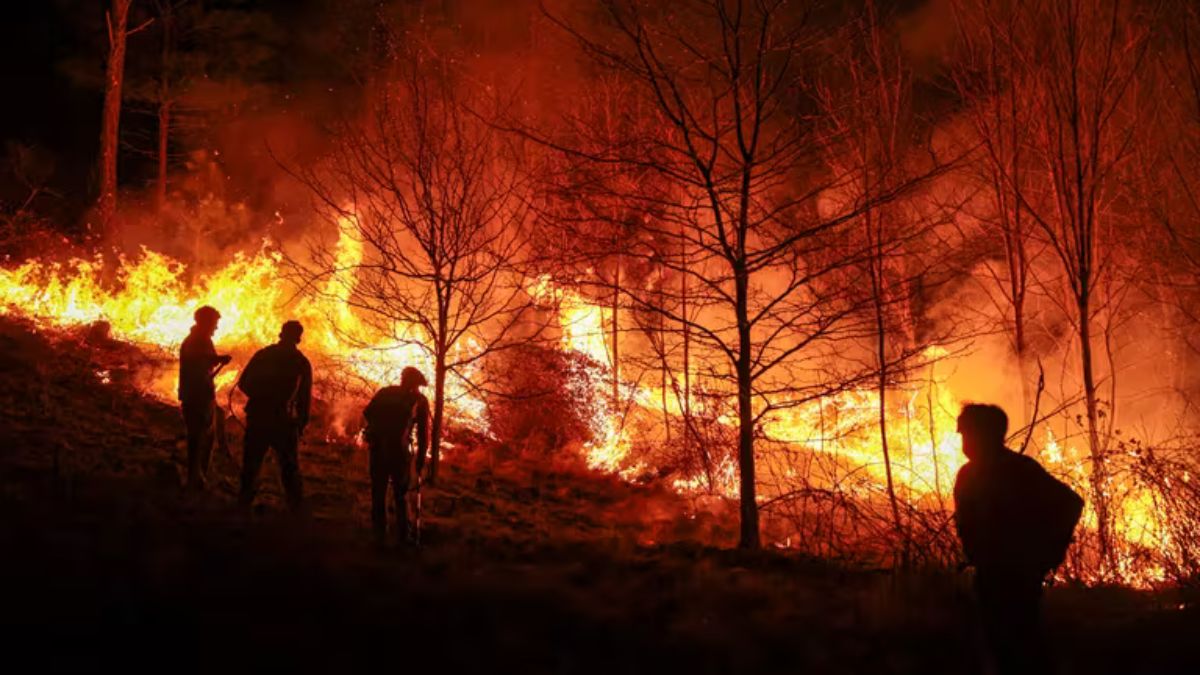 Incendios en Córdoba 